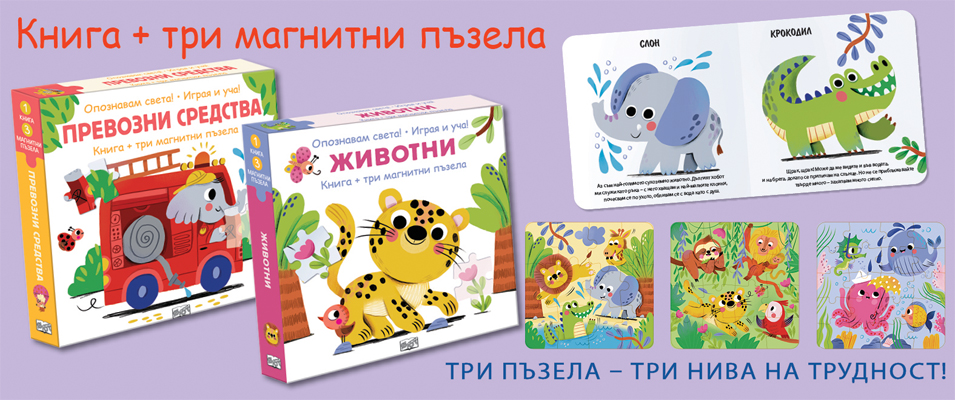 Магнитни пъзели