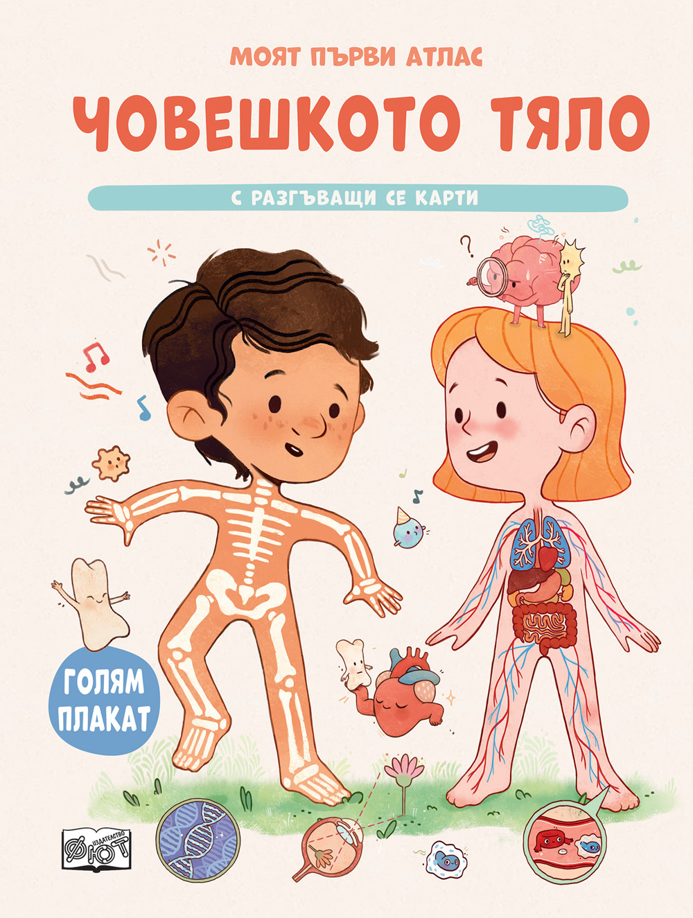 Моят първи атлас • ЧОВЕШКОТО ТЯЛО