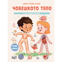 Моят първи атлас • ЧОВЕШКОТО ТЯЛО