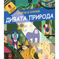 ОСВЕТИ И ОТКРИЙ! • С картонено фенерче - ДИВАТА ПРИРОДА