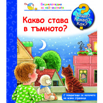 Защо? Какво? Как? Какво става в тъмното